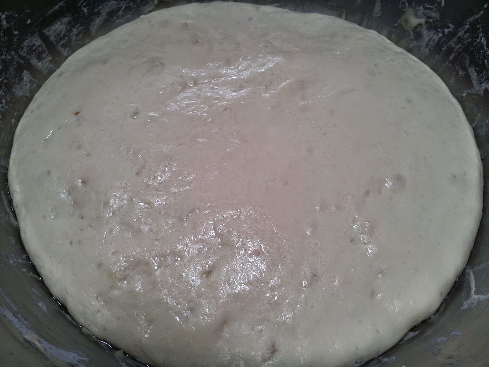 Pat's Kitchen Journal Dan Lepard's easy white bread