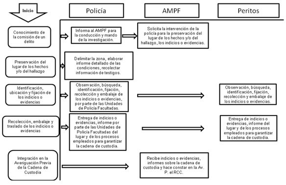 cadena de custodia