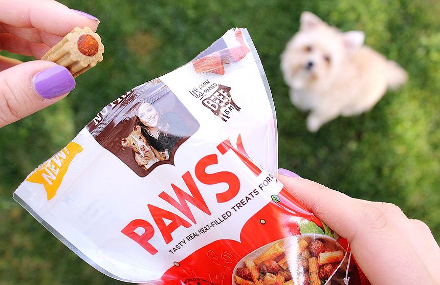 Discover new Rachael Ray Nutrish treats in fun varieties suchas Pawsta and Meatloaf Morsels. #NutrishPets #TreatingWithNutrish AD