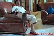 BRAHMANANDAM-KICK(5).gif