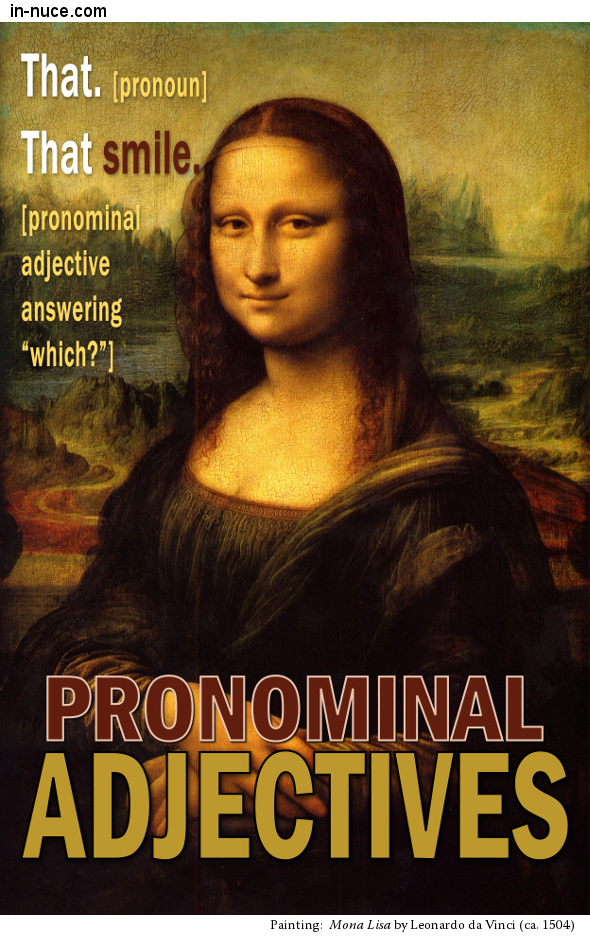 in-nuce-grammar-pronominal-adjectives