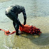 Χαλκιδική: Ψαροντουφεκάς έσωσε φώκια που είχε μπλεχτεί ολόκληρη σε δίχτυα (φωτο)