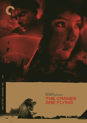 The Cranes Are Flying 1957 Dvd