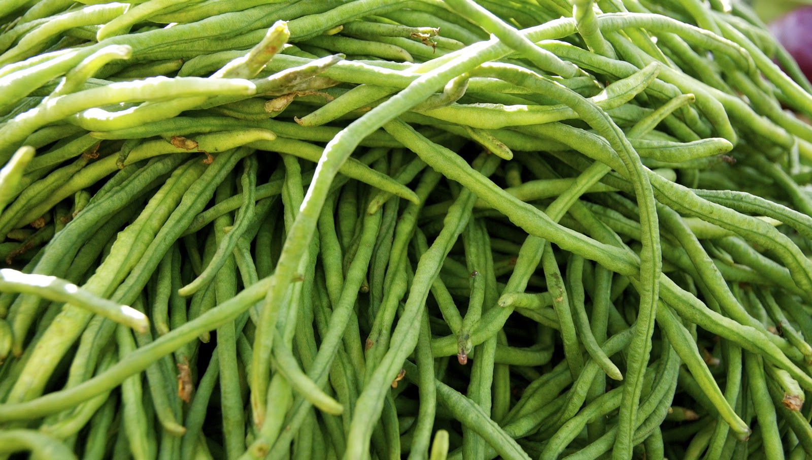 Loop Barbados A Market to Visit! Holders Farmers Market