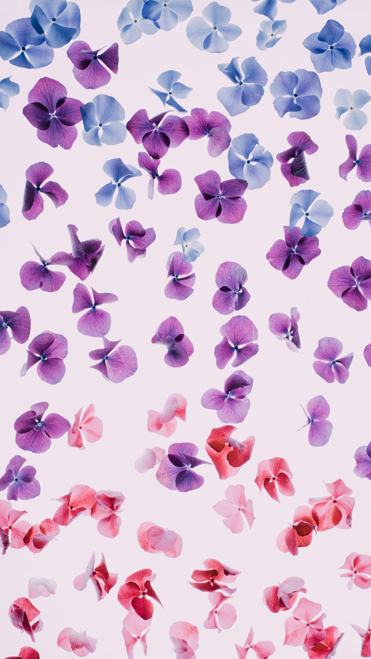 Flower-petals-iphone-wallpaper.jpg