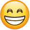Arti Gambar Emoji di Whatsapp