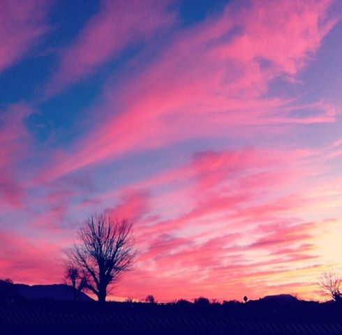 Fotos De Atardeceres Hermosos