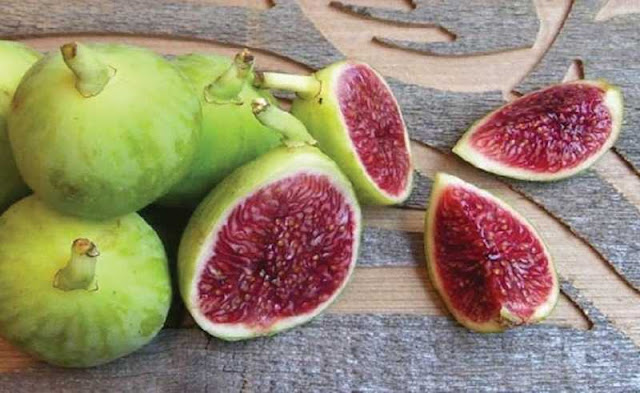 Khasiat Istimewa Buah Tin, Dianggap Buah Surga Karena Ampuh Sembuhkan Berbagai Penyakit Khasiat Istimewa Buah Tin, Dianggap Buah Surga Karena Ampuh Sembuhkan Berbagai Penyakit