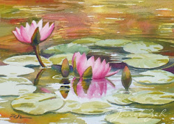 watercolor paintings water lilies oil lily painting pond waterlilies watercolour flowers flower waterlily pink tree portrait zeh tropicals monet ripples
