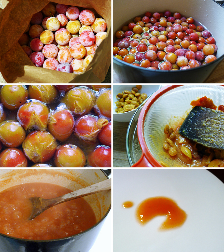 Cooking Weekends Wild Mexican Plum Jam