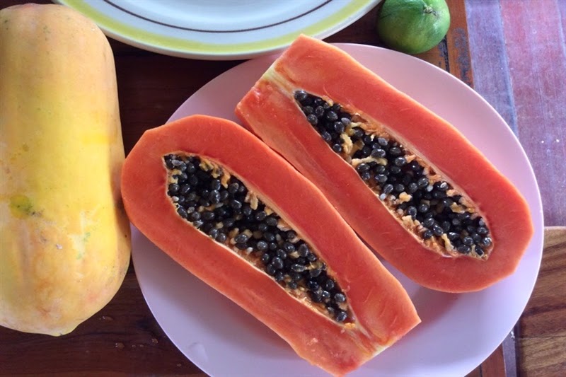 Joy in Thailand Papaya in Thailandia