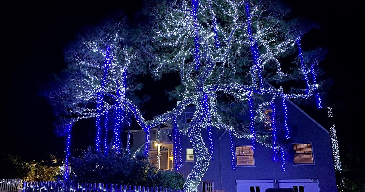 Sensory Overload Christmas Lights Encinitas Tree of Life