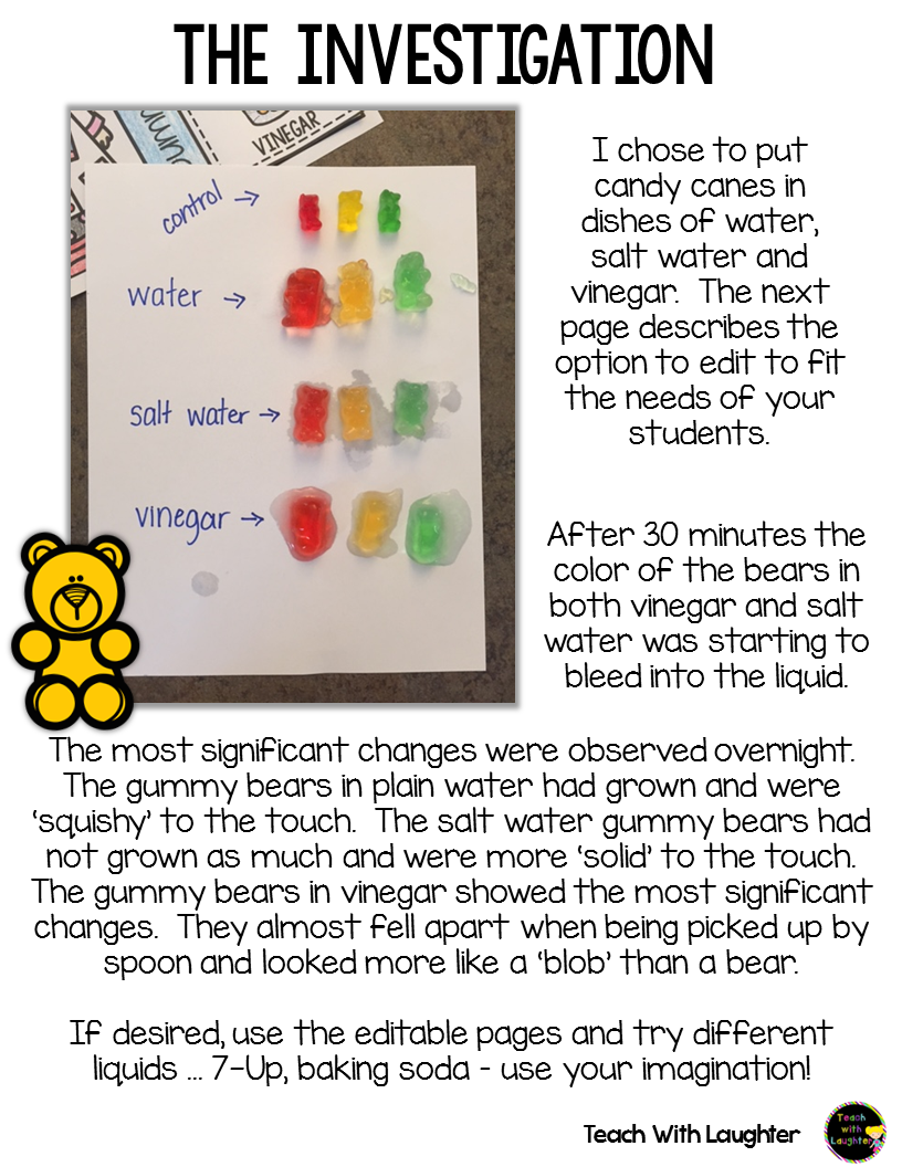 Teach With Laughter Gummy Bear Investigations