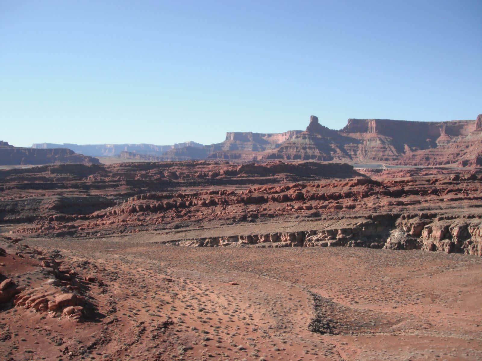 Base Camp Moab, UT A Day of Fossil Hunting
