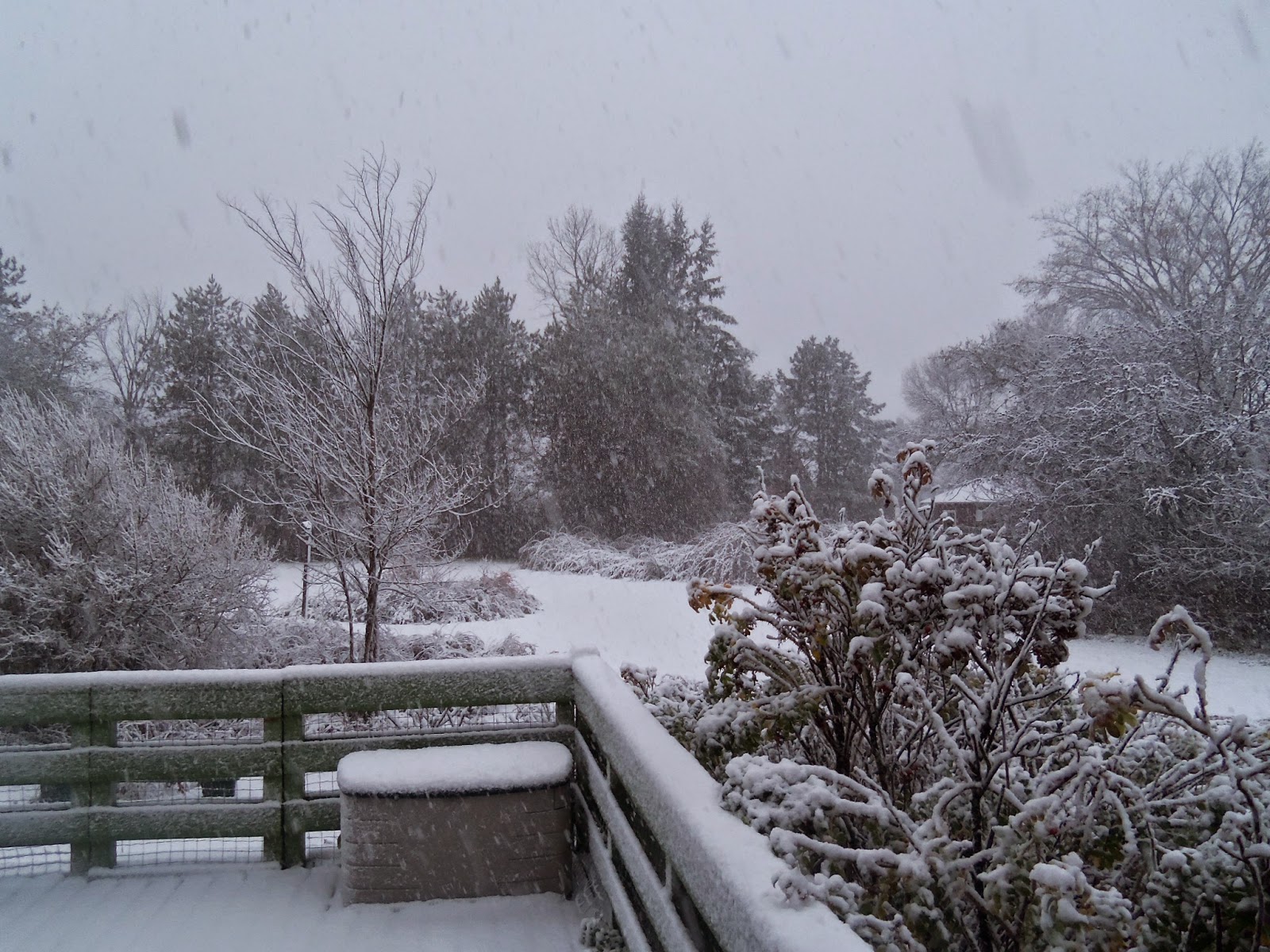 The Mum and The Rose: The First Snowfall&mldr;