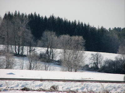 northview