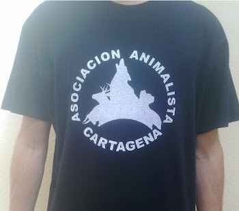 Camisetas "Animalistas Cartagena"