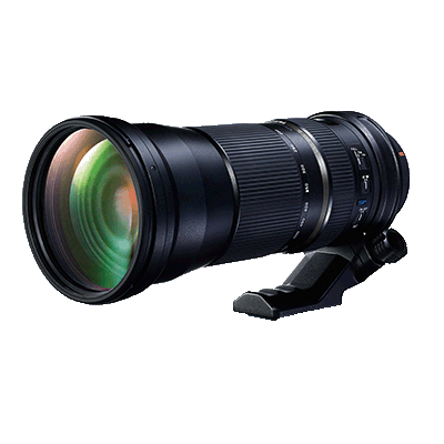 Tamron SP 150-600mm F/5-6.3 VC USD para mi Nikon