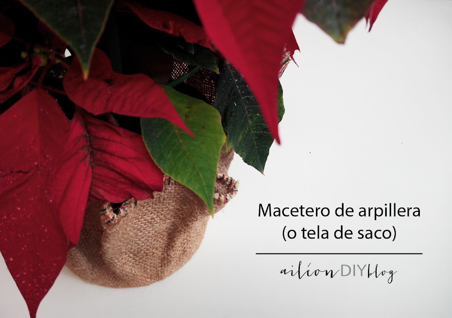 macetero diy flor de pascua