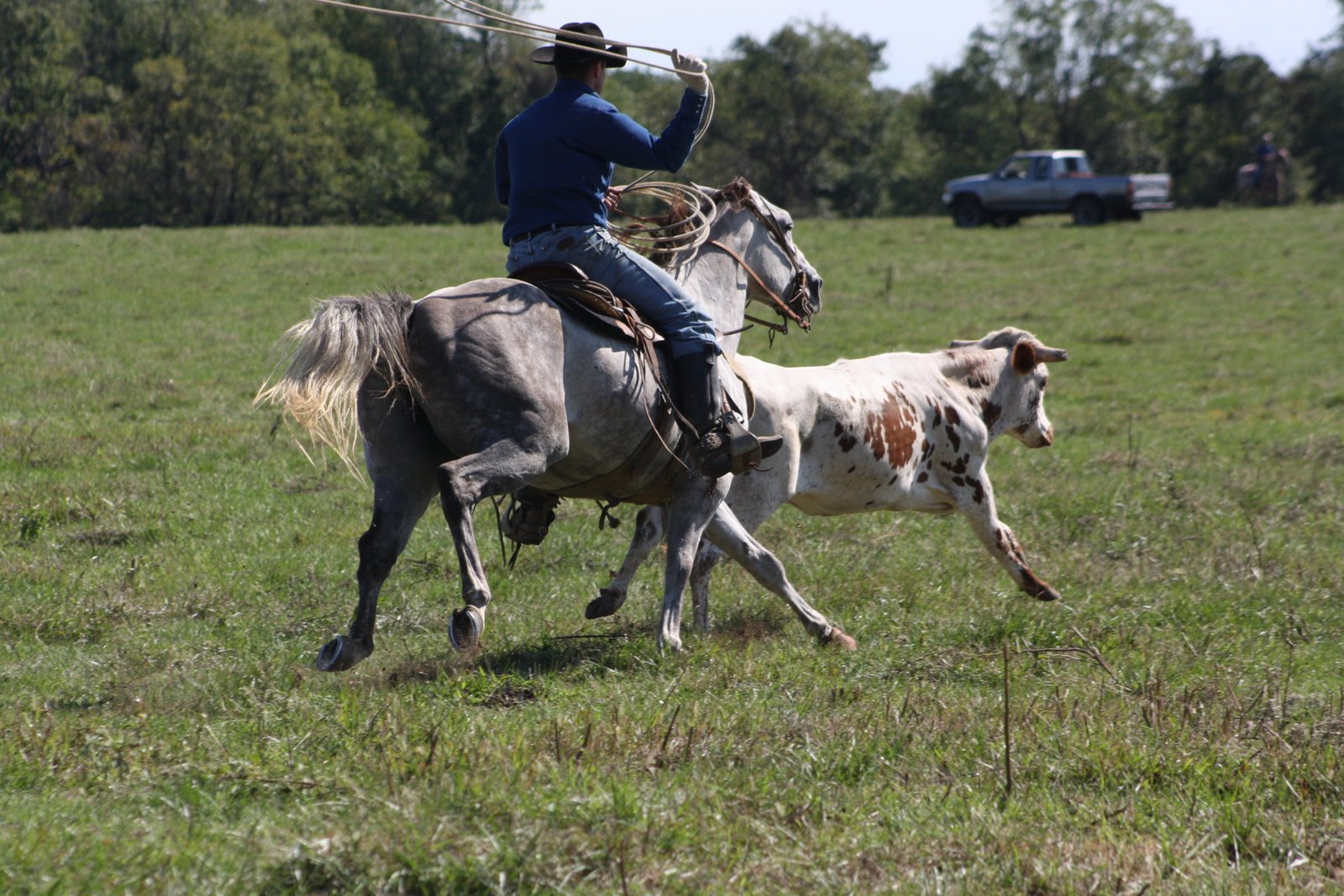 PairADice Mules: Pasture Roping Willard MO