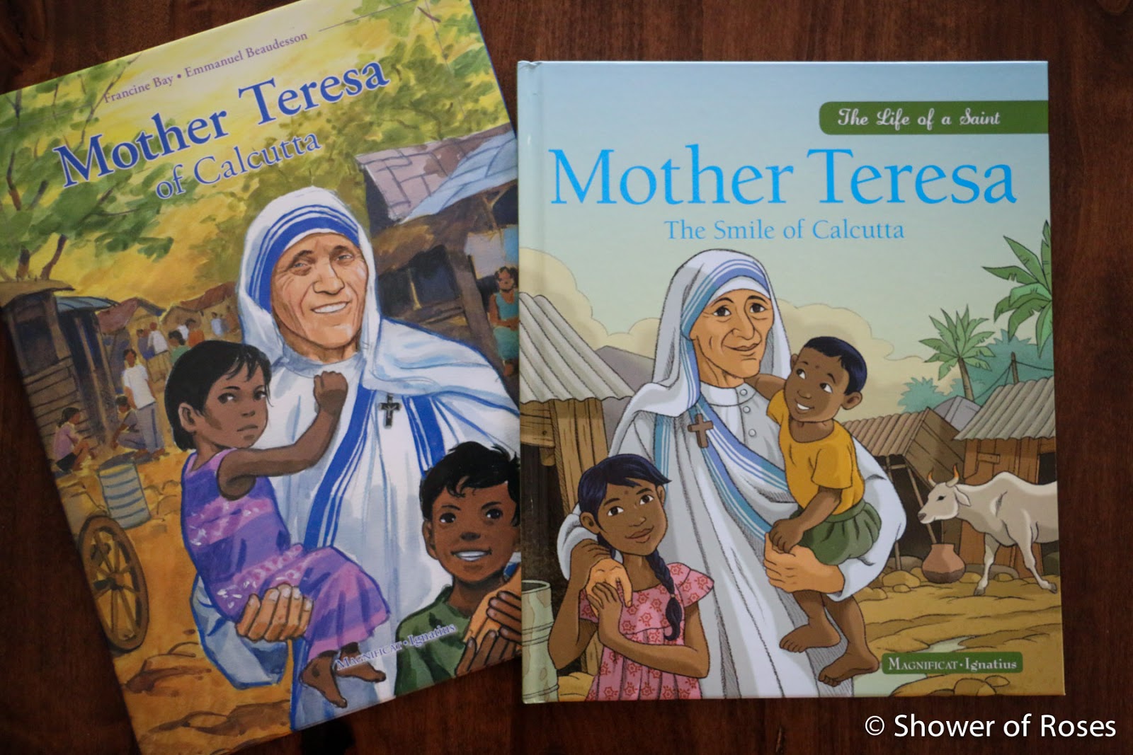 Mother Teresa Of Calcutta Book