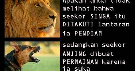 Gambar Kata Anjing Menggonggong Kafilah Berlalu Wallpaper Tulisan