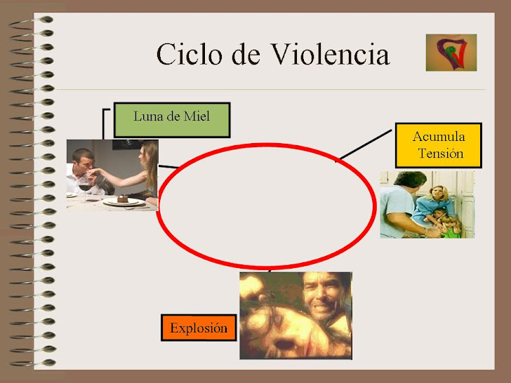 CICLO DE LA VIOLENCIA