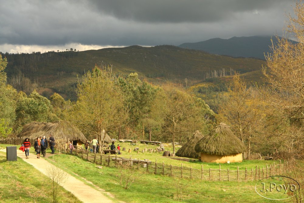 Petroglifos de Campo Lameiro