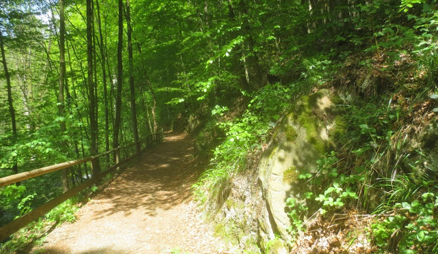 Bad Berneck: Spaziergang im Kurpark - Waldweg