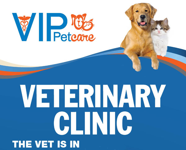 Clinic Near Me: Low Cost Spay And Neuter Clinic Near Me