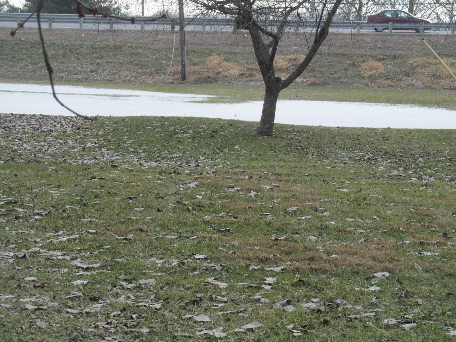 The family newsletter: january 2014 The Family Newsletter: January 2014