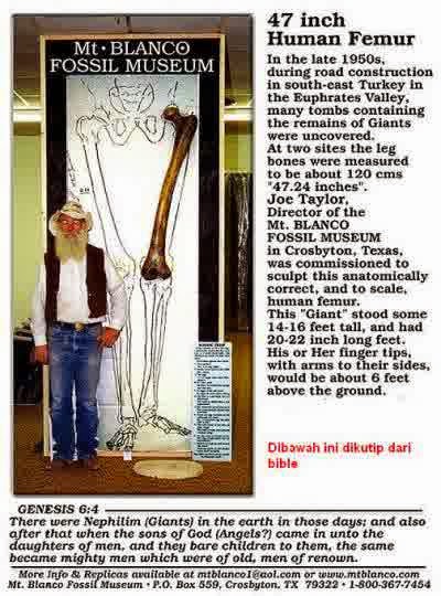 Giant Human Femur Found Giant Human Femur Found