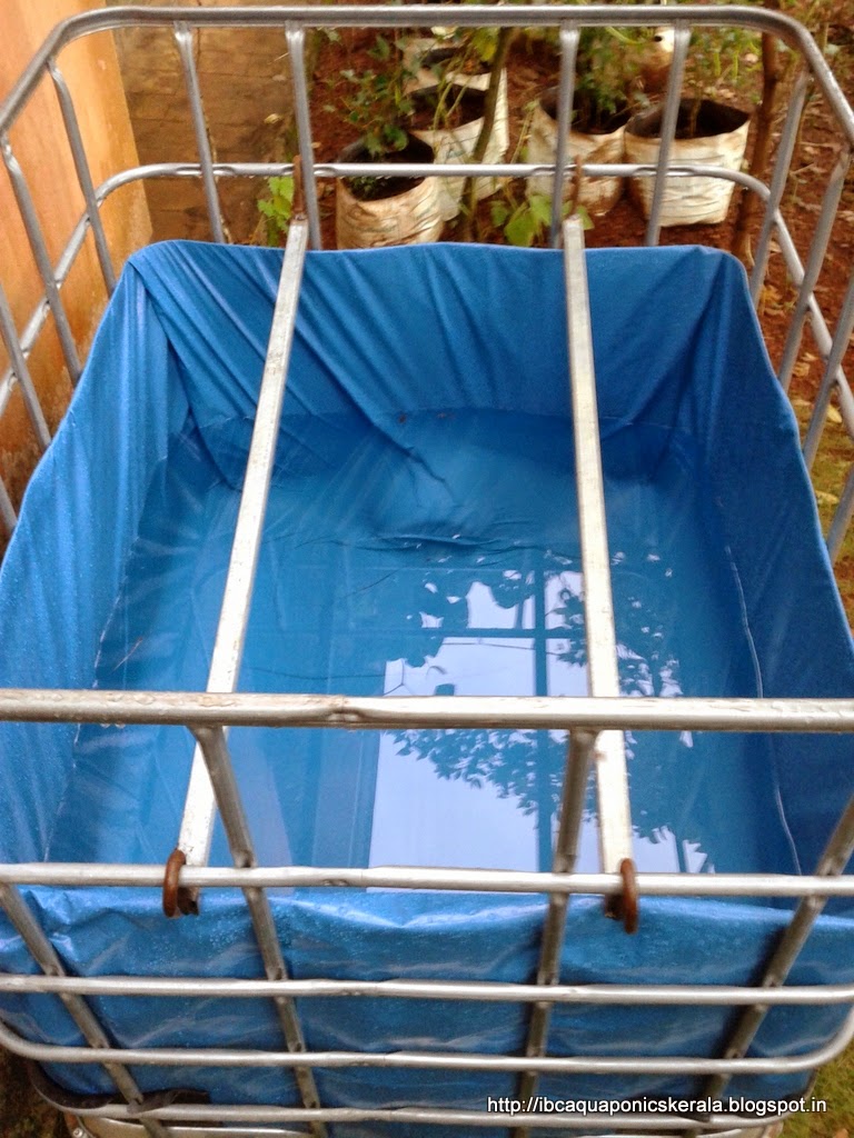 IBC Aquaponics Kerala: Finall Assembly - Day4