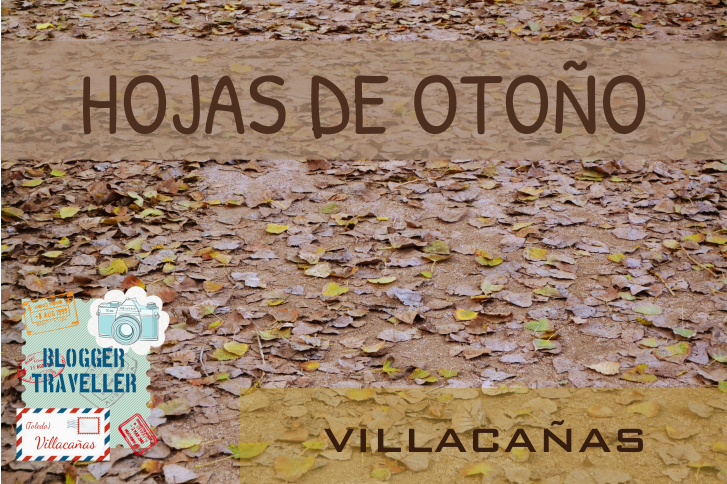 Hojas de Otoño en Villacañas Hojas de Otoño en Villacañas