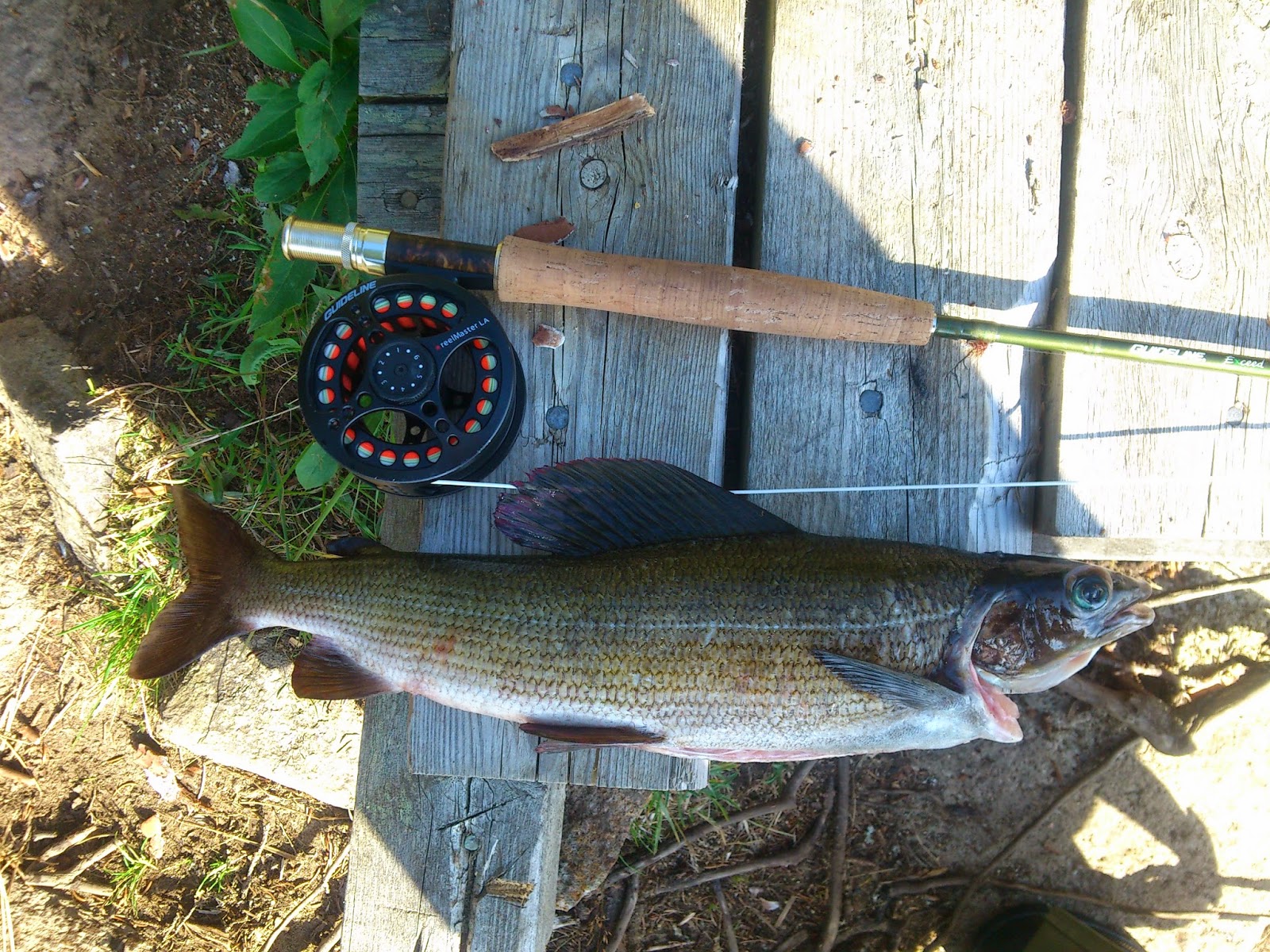 Välkommen till Obbola fiskeklubb