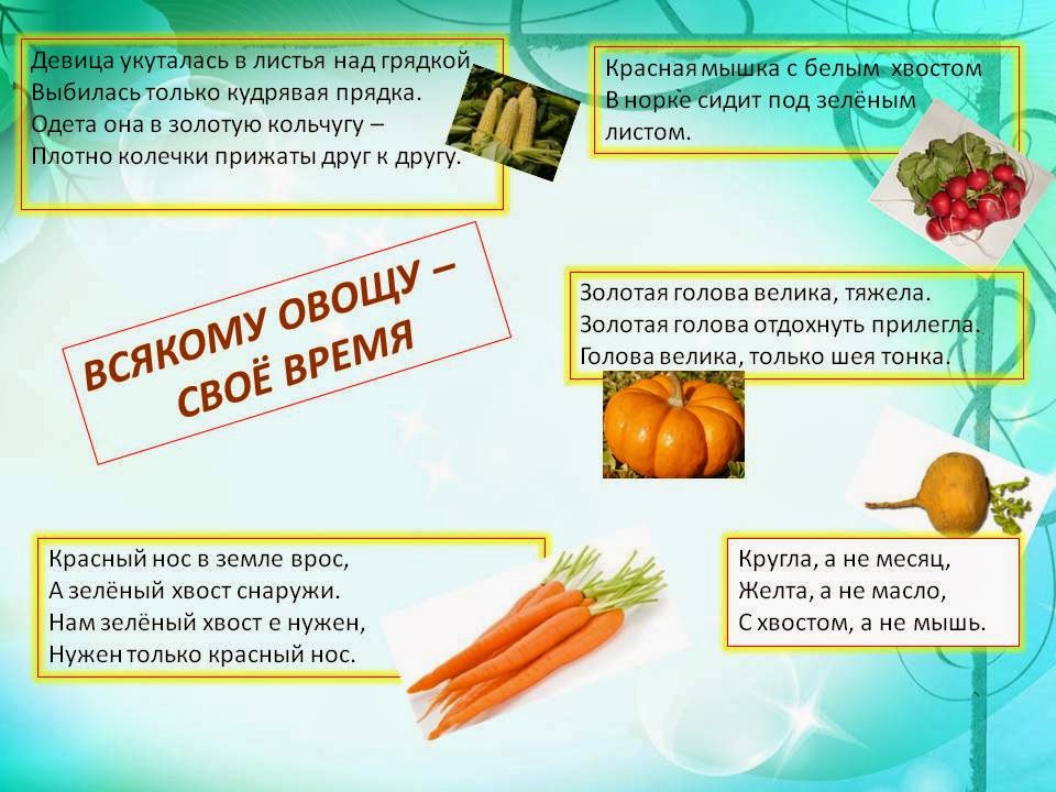 Каждому овощу свое время презентация разговор о правильном питании. Актуальность проекта разговор о правильном питании. Проект здоровая пища. Презентация разговор о правильном питании 3 класс. Полезные продукты.