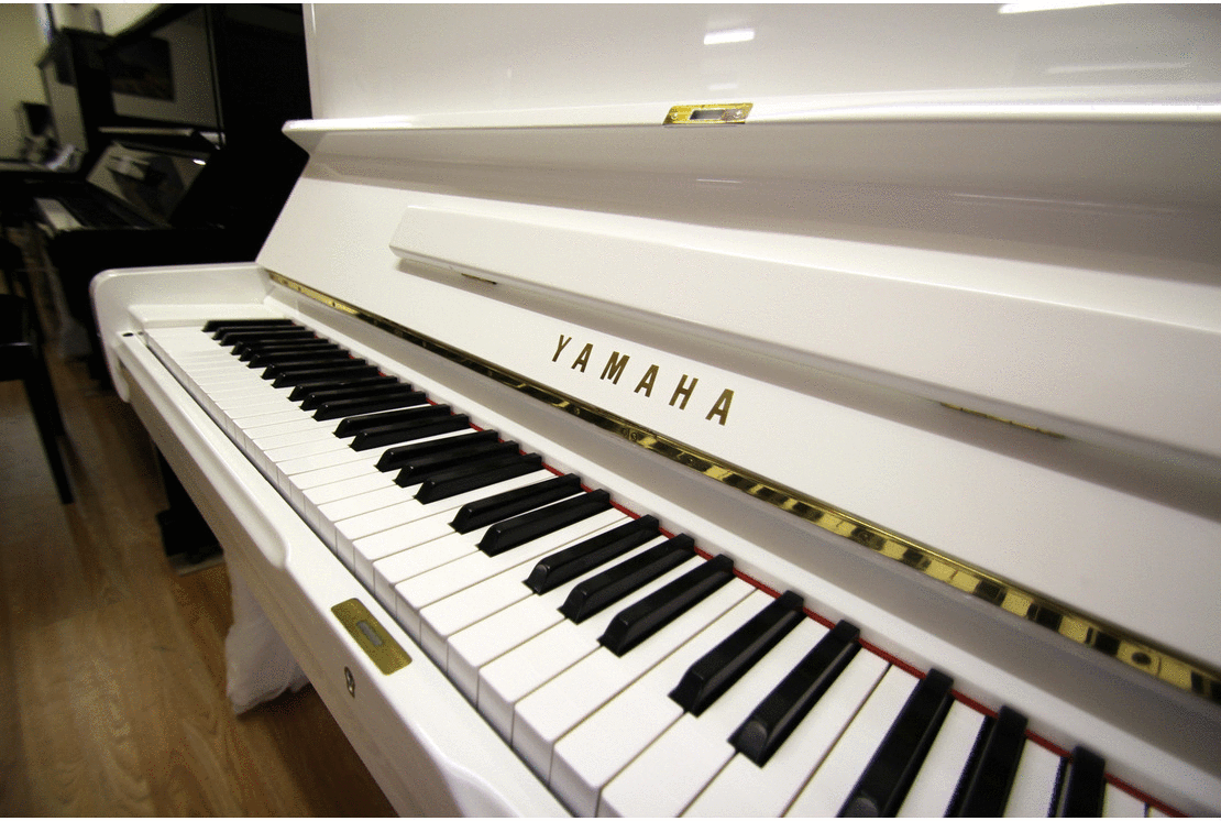 Toko Putra Musik Solo | Toko Peralatan Musik di Solo Surakarta