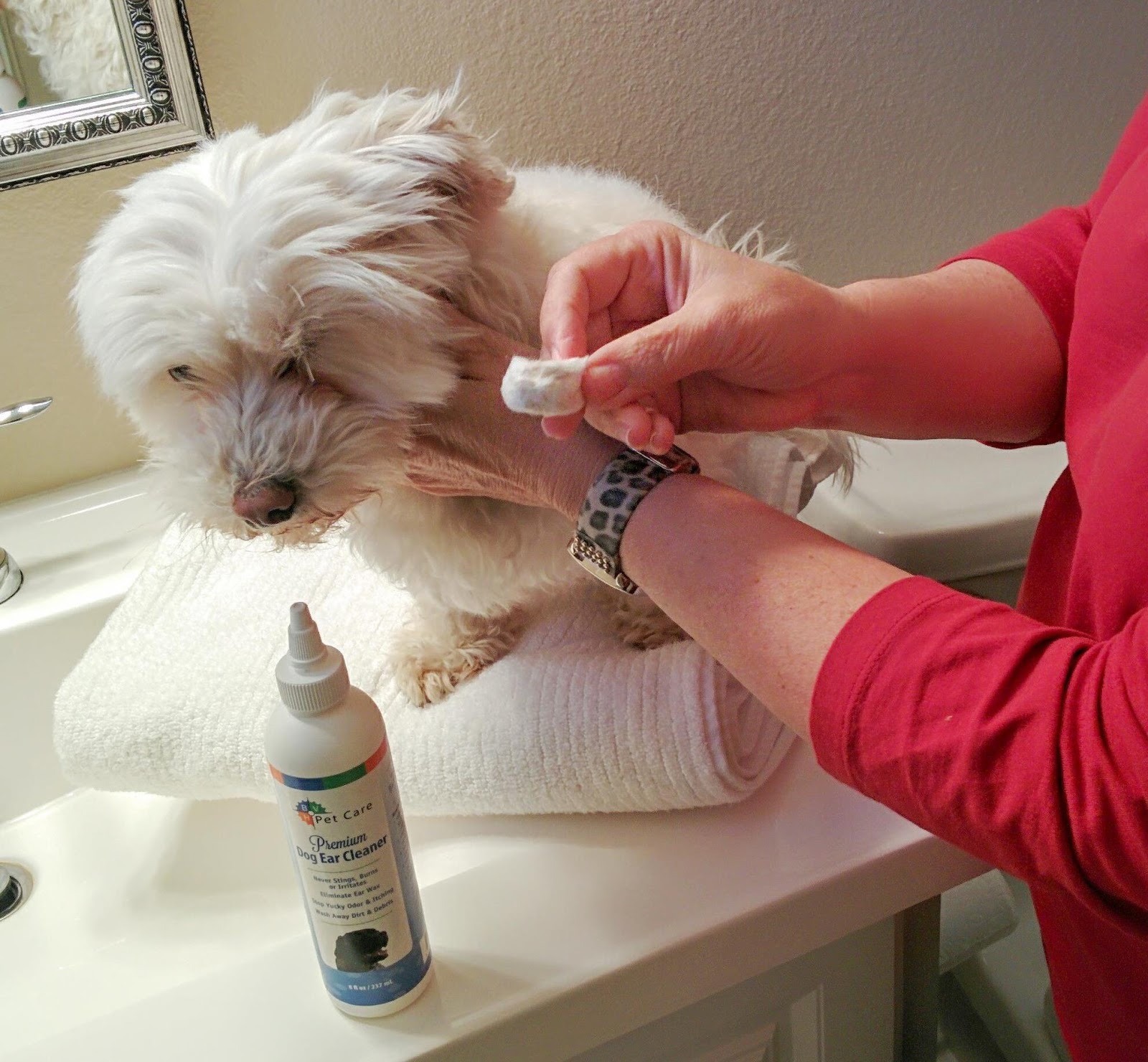 Dogs Luv Us and We Luv Them Clean Dogs' Ears Naturally With BVH Pet