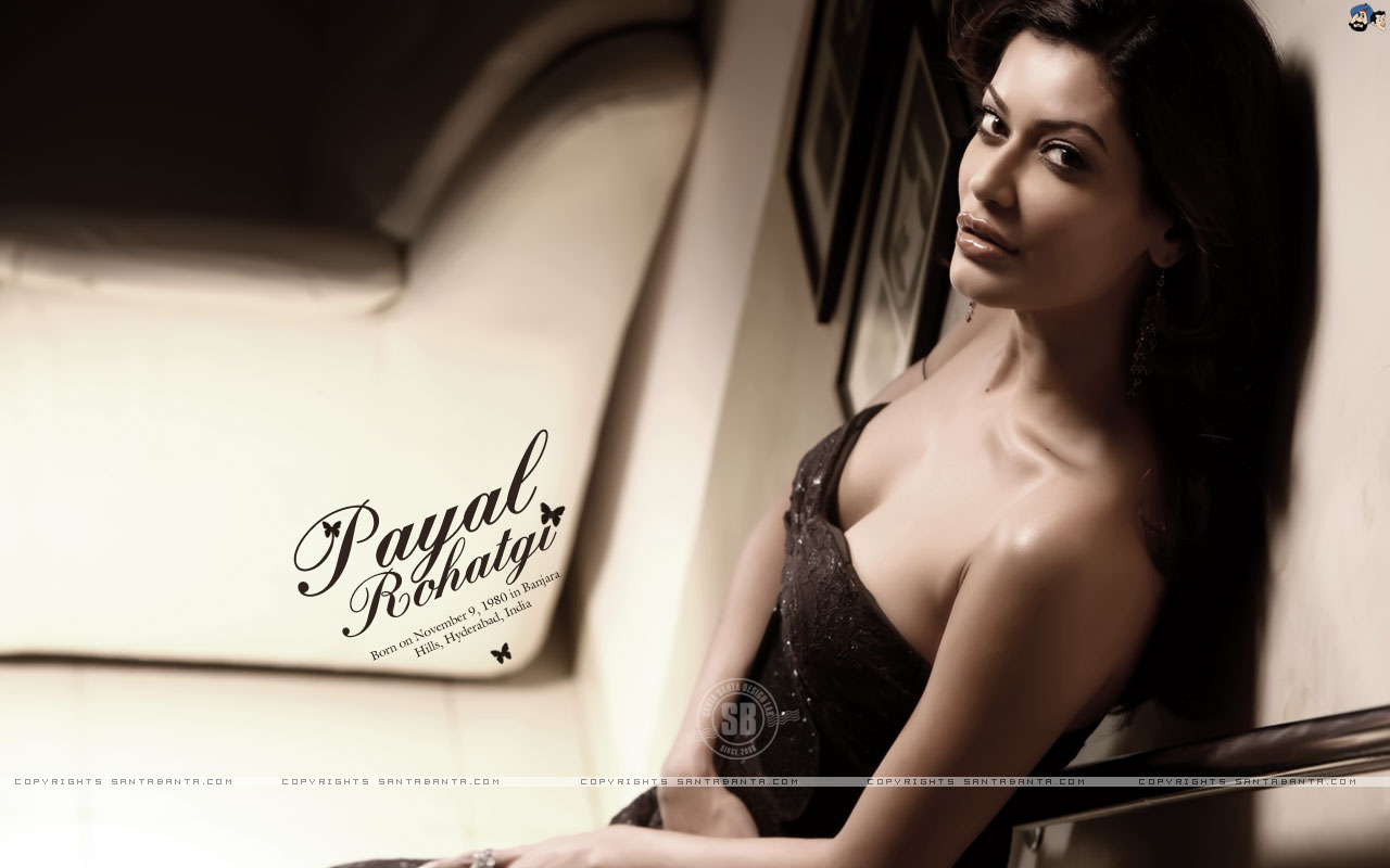 Payal Rohatgi Hot Sexy Beautiful Latest Unseen Wallpapers