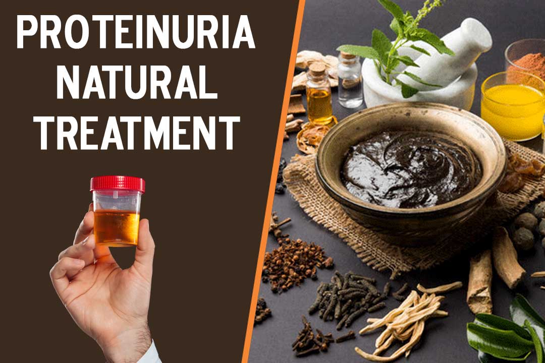 How Proteinuria Treatment Doctor in Shimla is effective? Ayurvedic