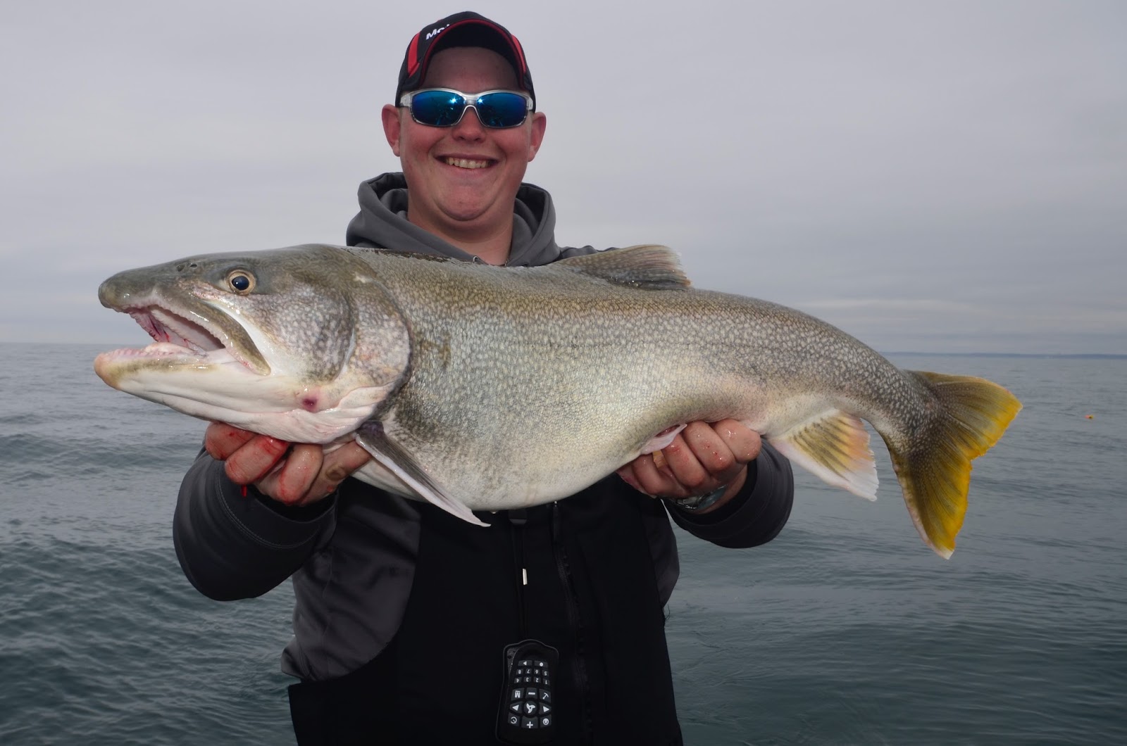 trolling speed for lake trout