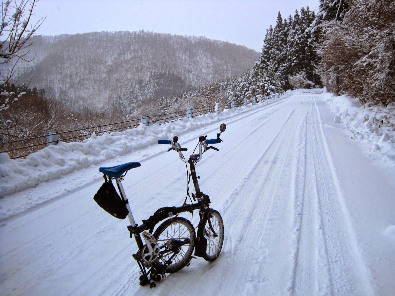 brompton winter tyres