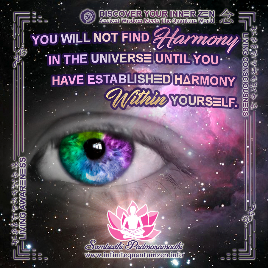 You will not find Harmony in the Universe until you have established Harmony Within Yourself - Infinite Quantum Zen, Success Life Quotes