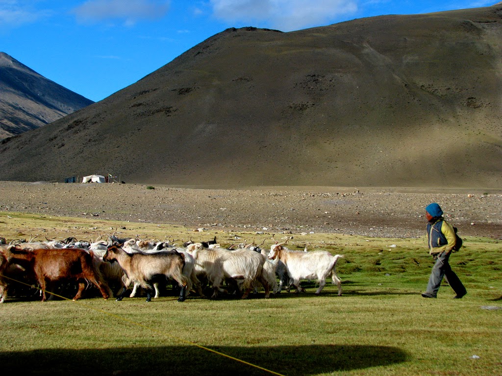 Ladakh volunteer, volunteer travel india