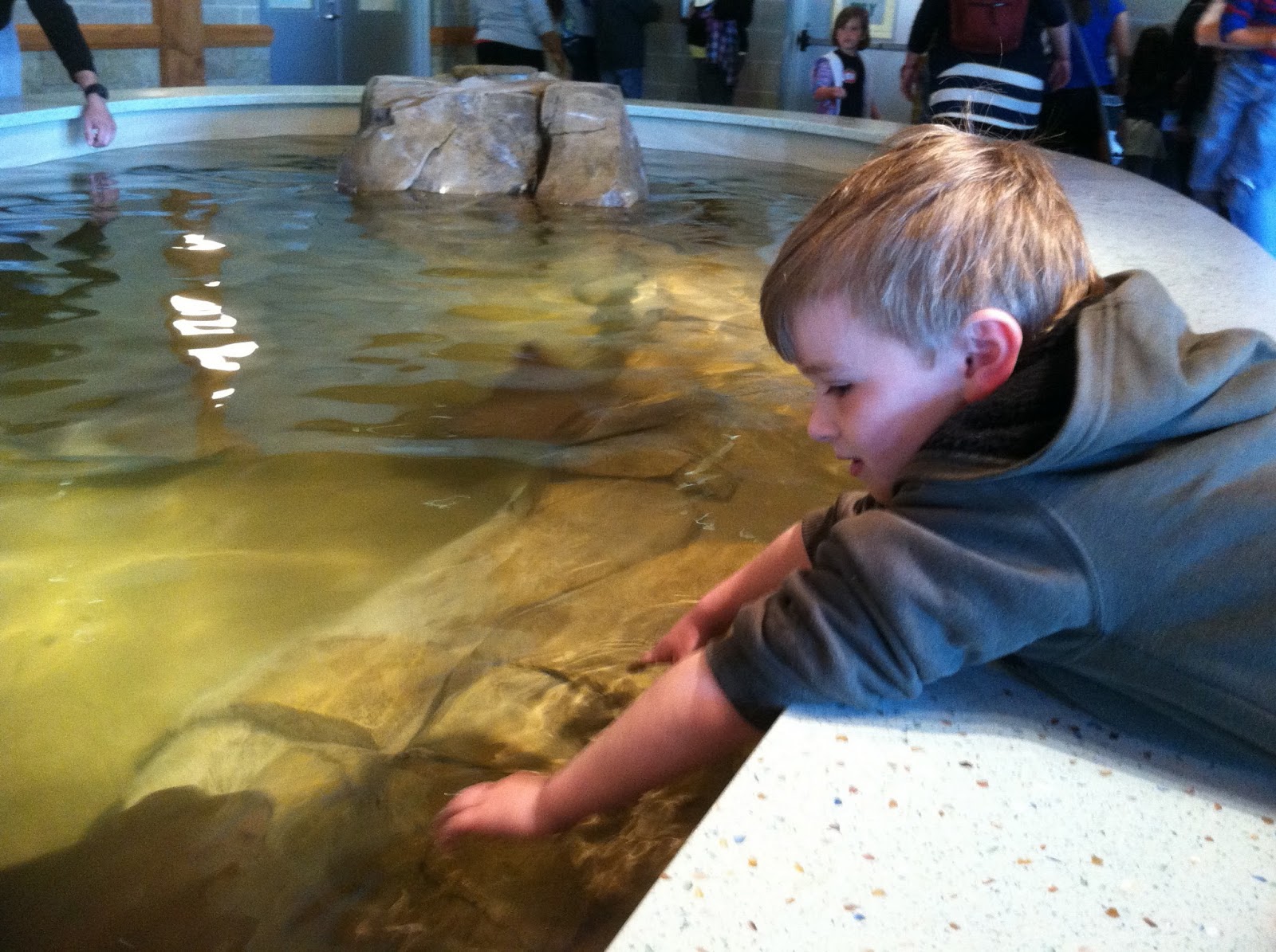 A Review of The Turtle Back Zoo Classic New Jersey Day Trips The