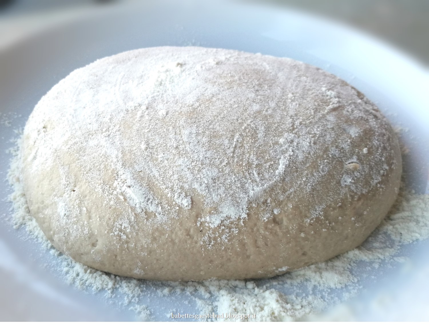 Babettes gæstebud. Pizza dough with sourdough