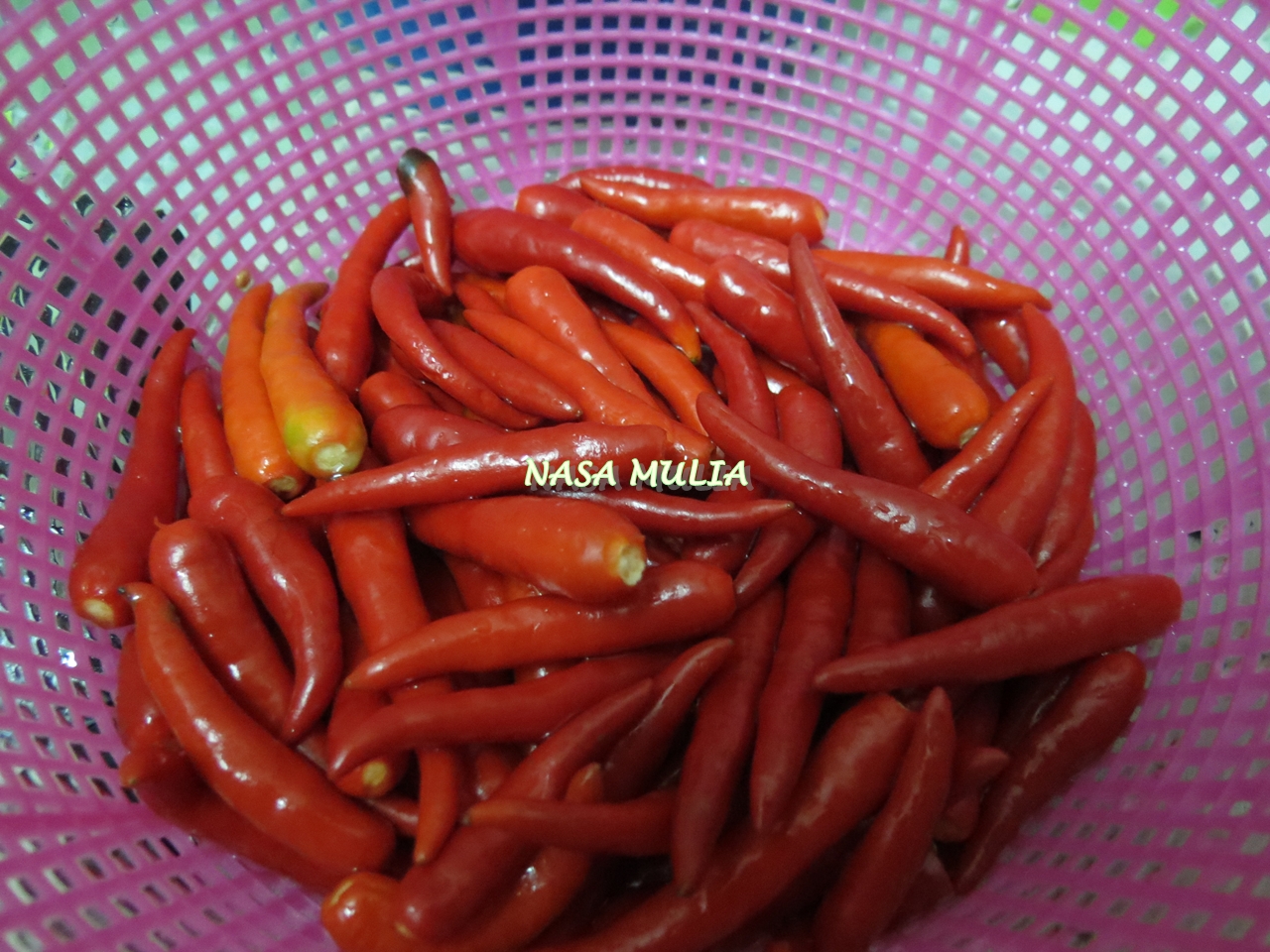 warna warni hidupku..............: Minyak Cili Padi