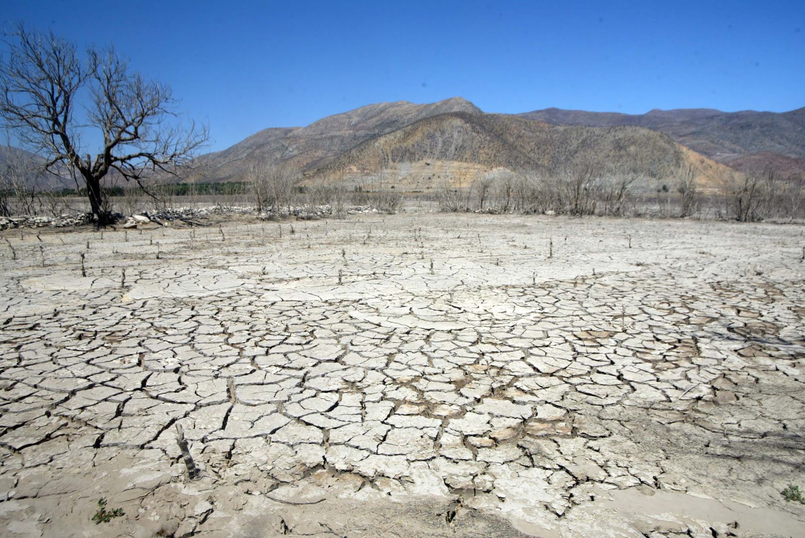 Daño por la sequía en Chile