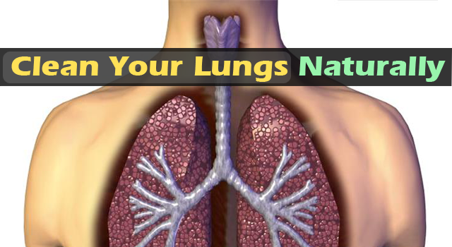 Natural Way To Clear Your Lungs Of Nicotine, Tar, And Nasty Tobacco Byproducts