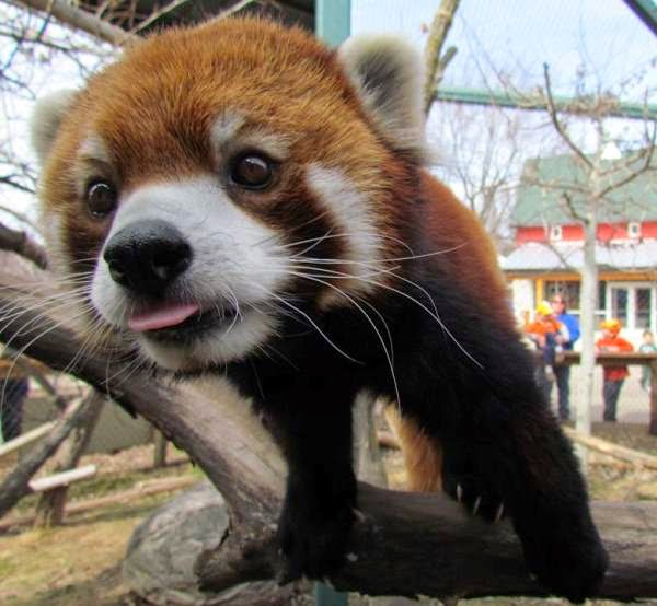 4대천왕.JPG | 인스티즈